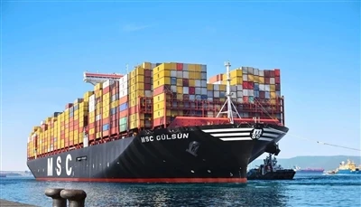Kadar Pelayaran & Pengangkutan Ekspres Baharu Dari Qingdao, China Ke Mexico (Jun)